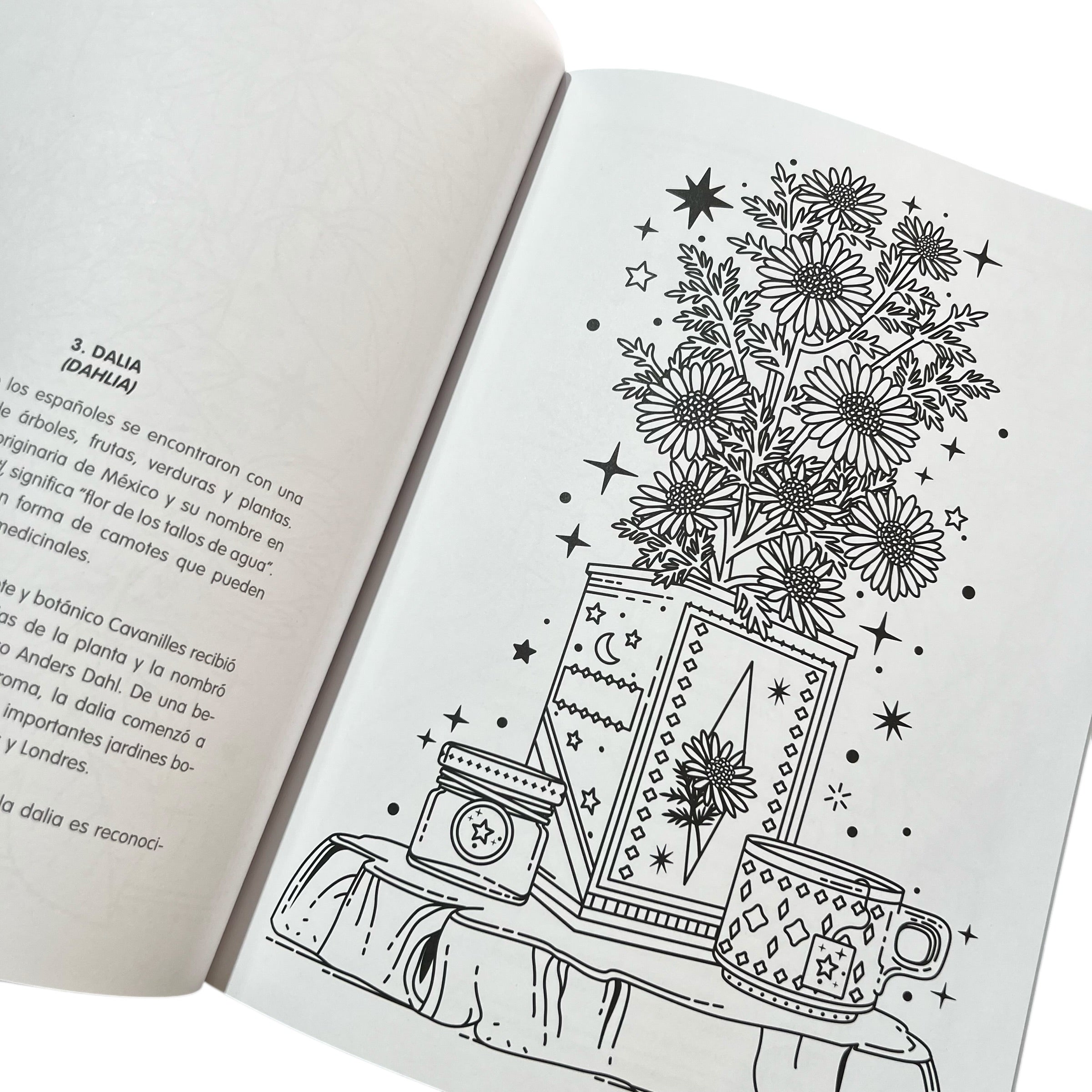 Libro para colorear - #Coloreanding Botanica