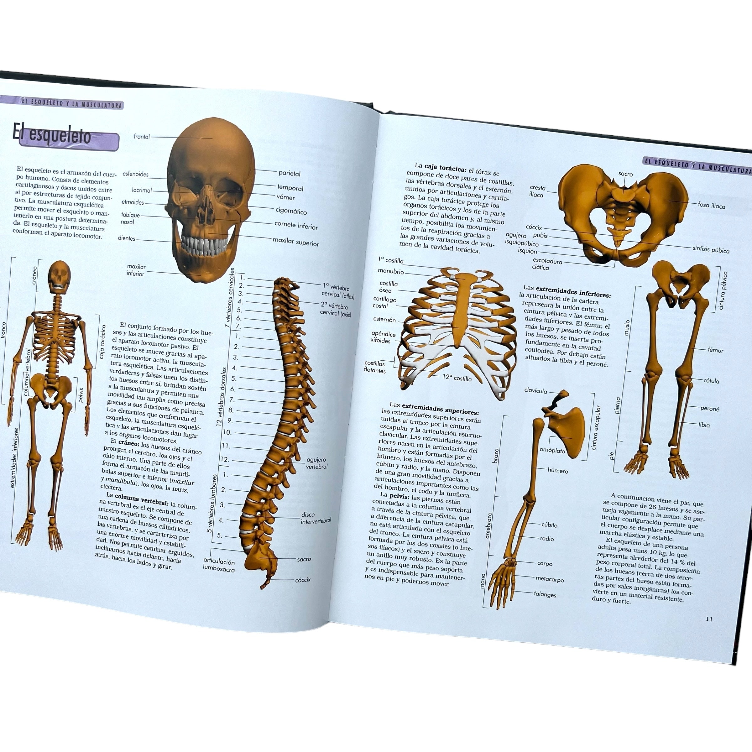 Libro Enciclopedia del conocimiento