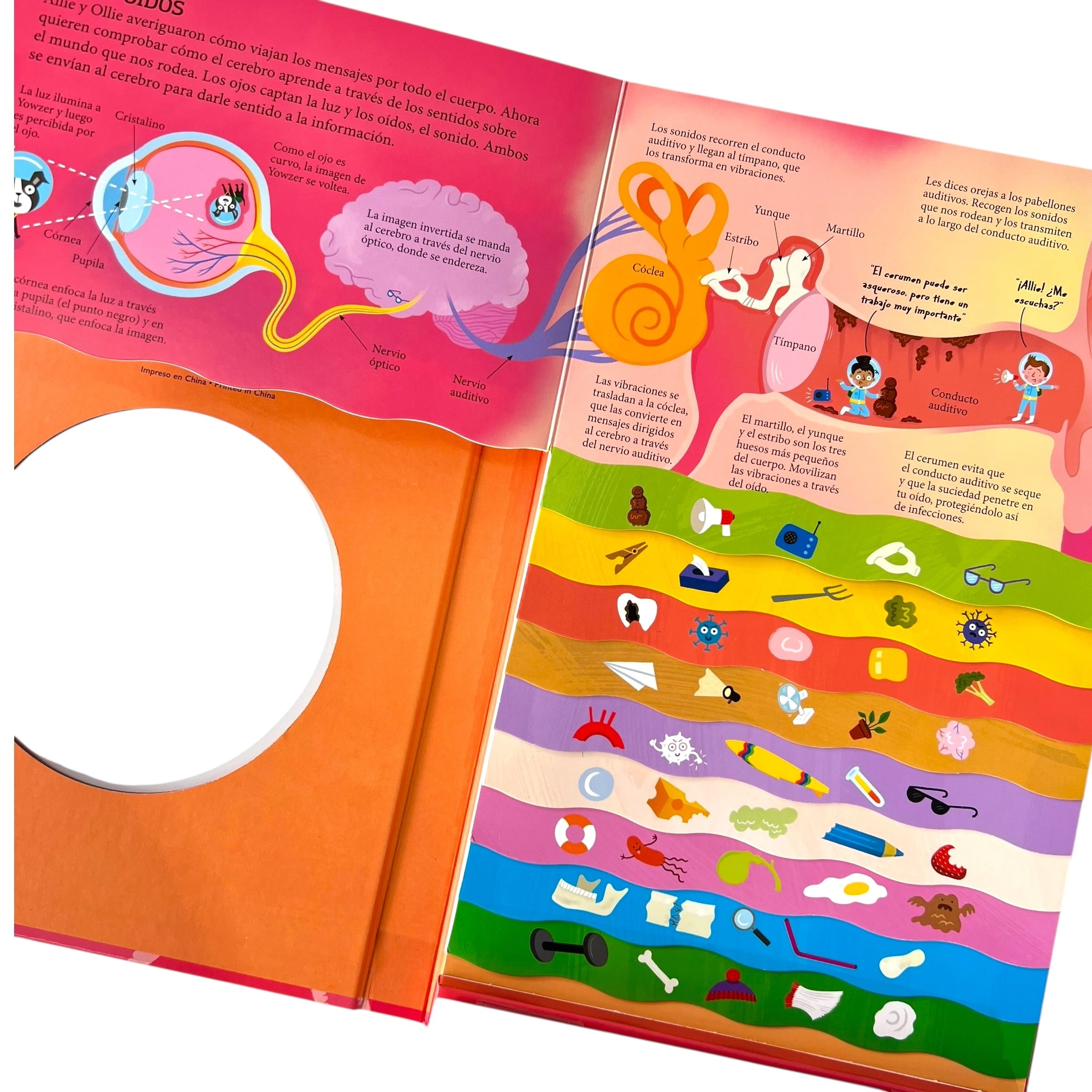 Libro gigante - Vamos a conocer el cuerpo humano