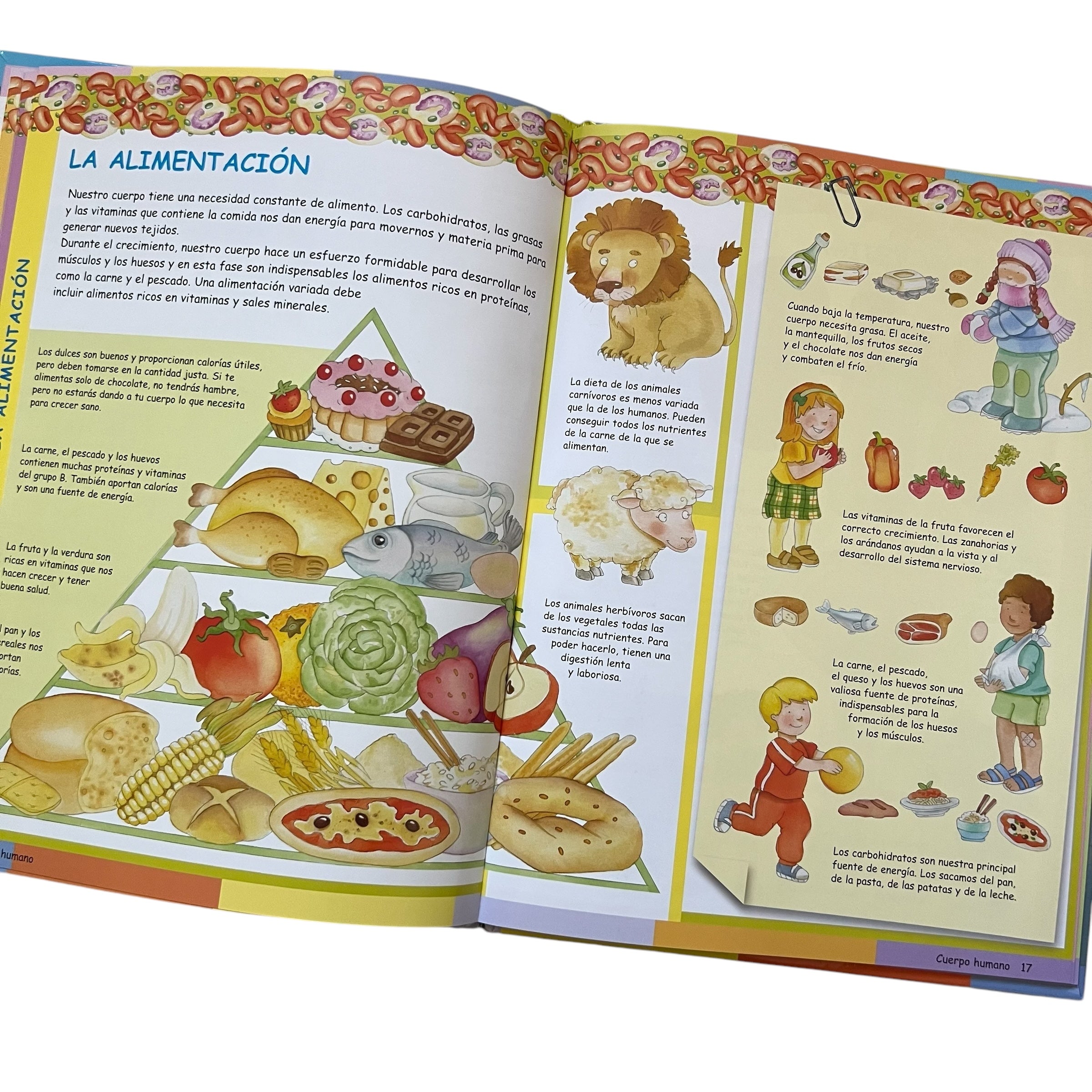 El mundo de... El cuerpo humano