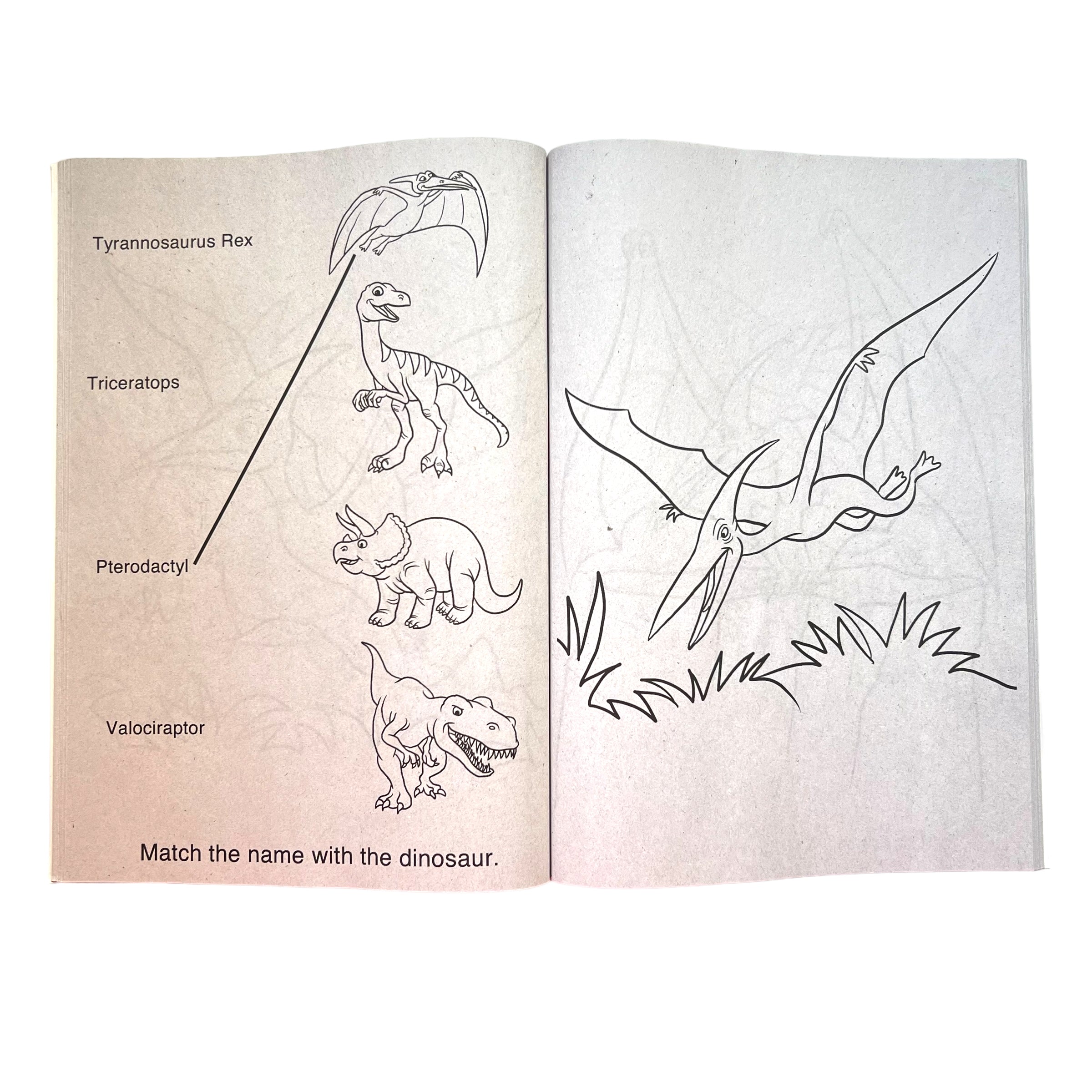 Libro para colorear Juega con Dinos