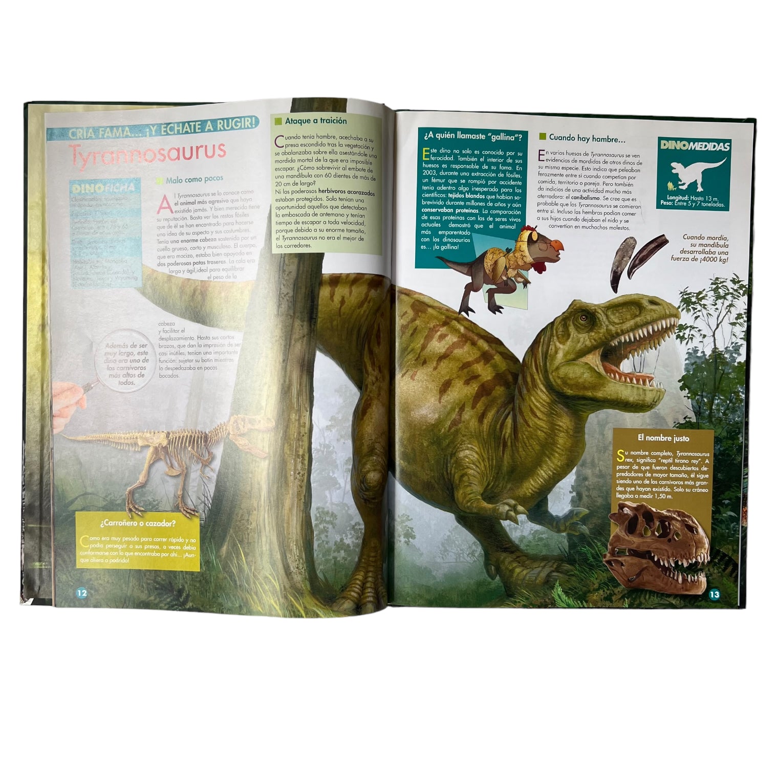 Dinosaurios del Cretacico