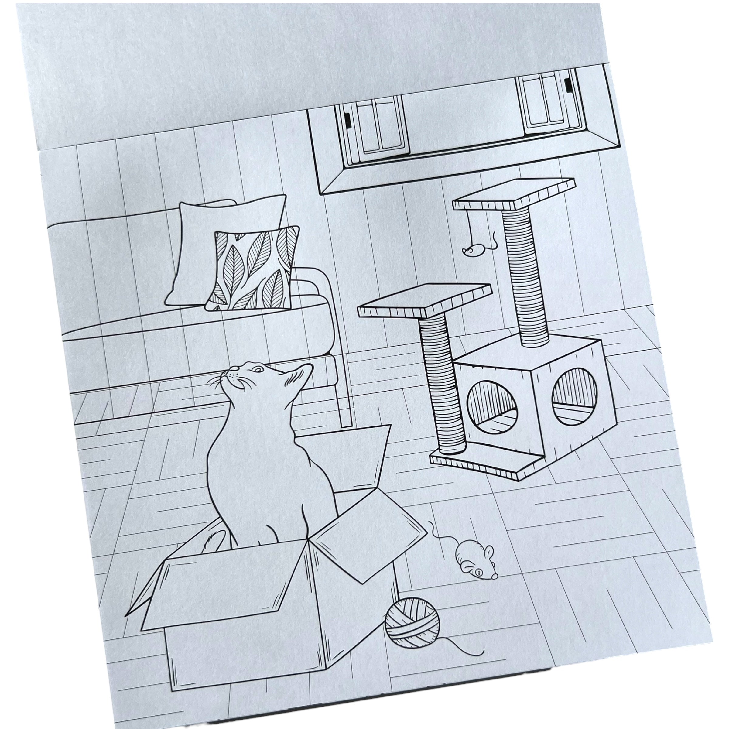 Block para colorear - CATS