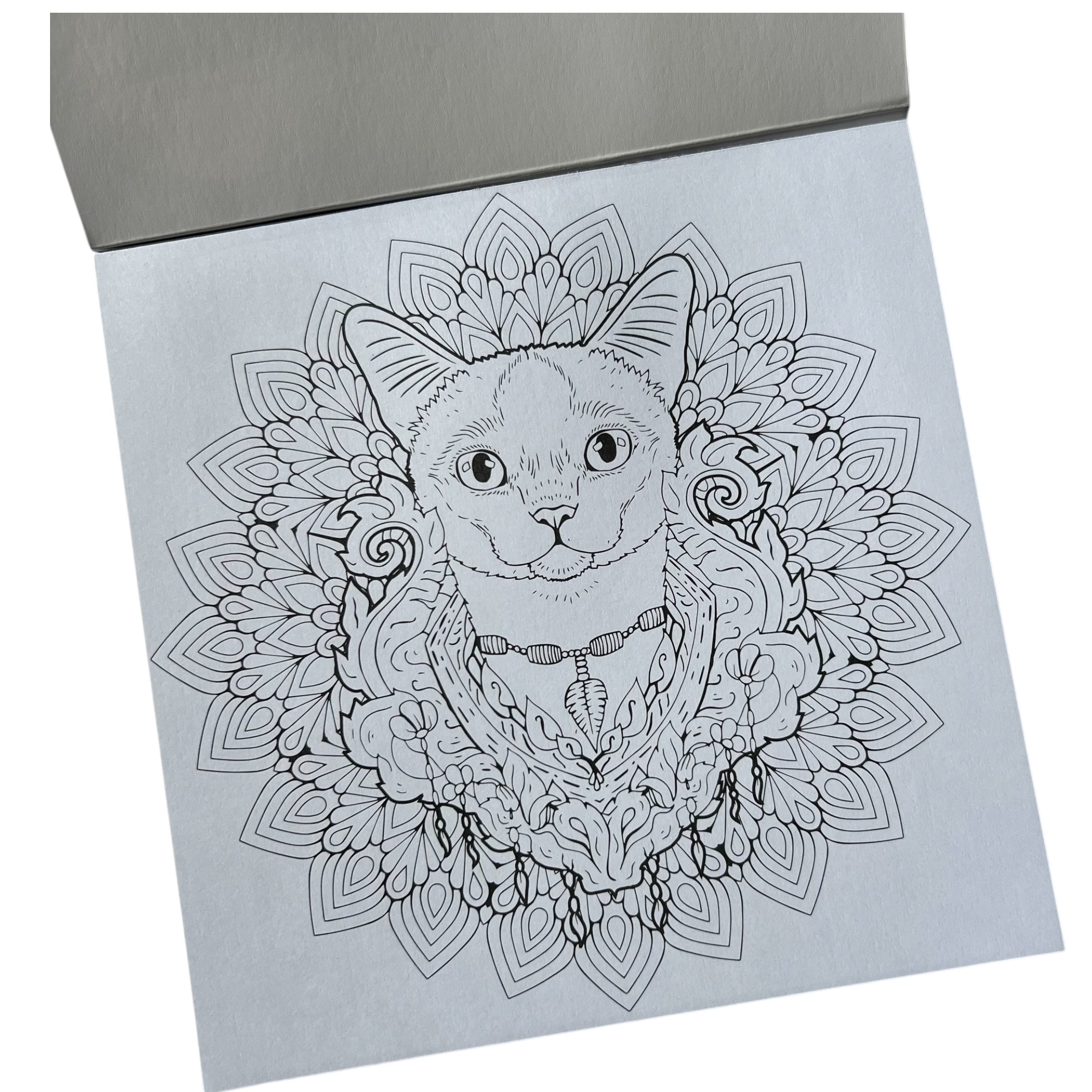 Block para colorear - CATS