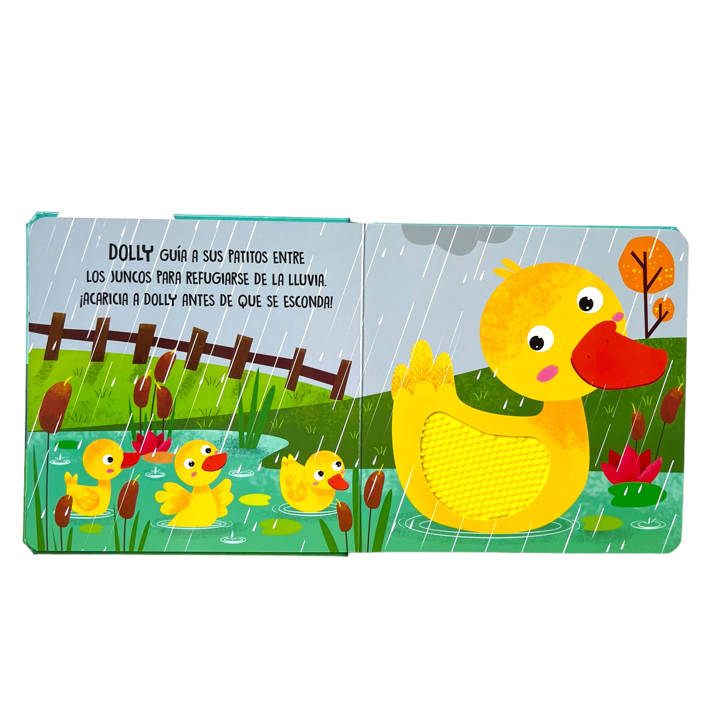 Toco y Descubro - Libros de Texturas