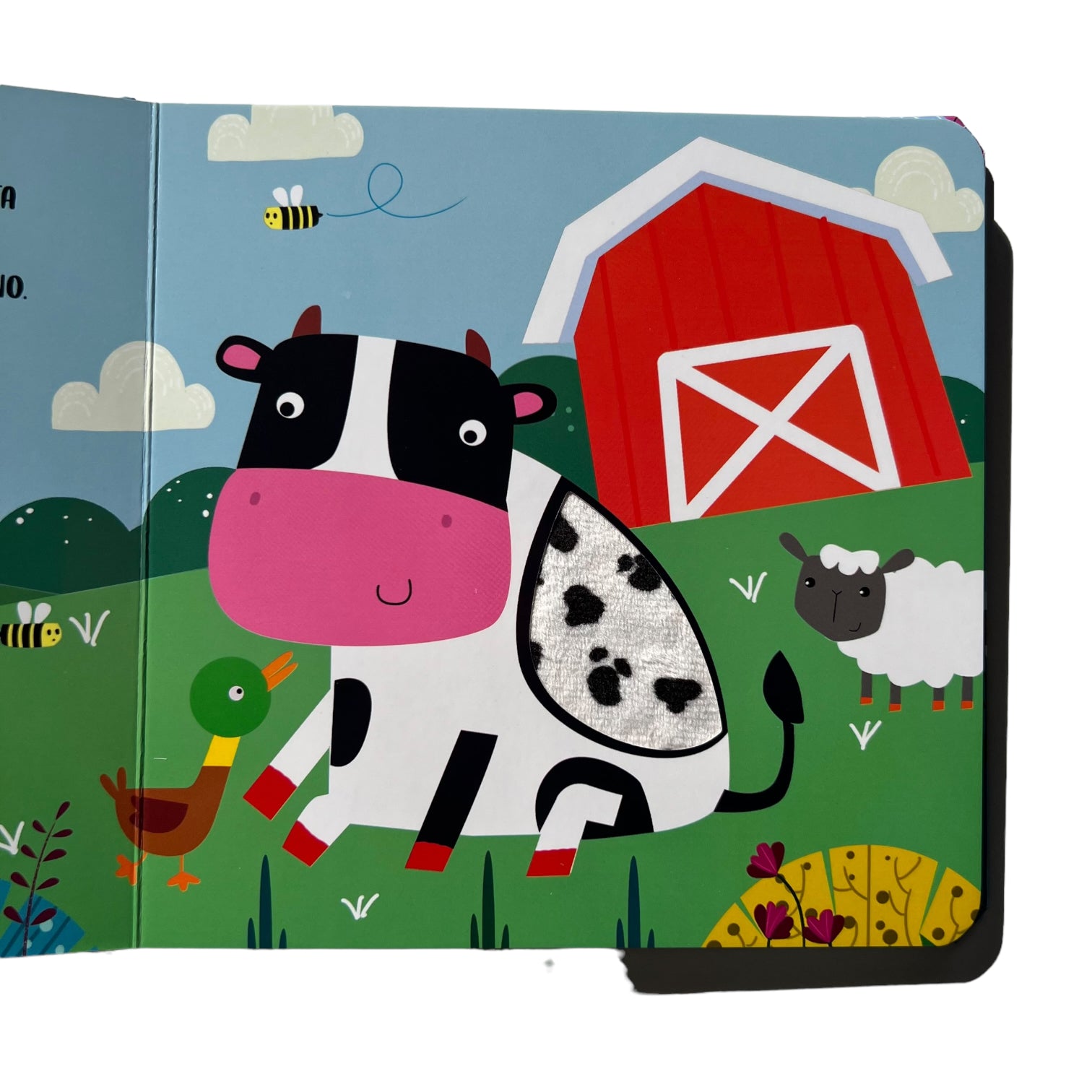 Encuentra Quien se Esconde - Libros de Texturas