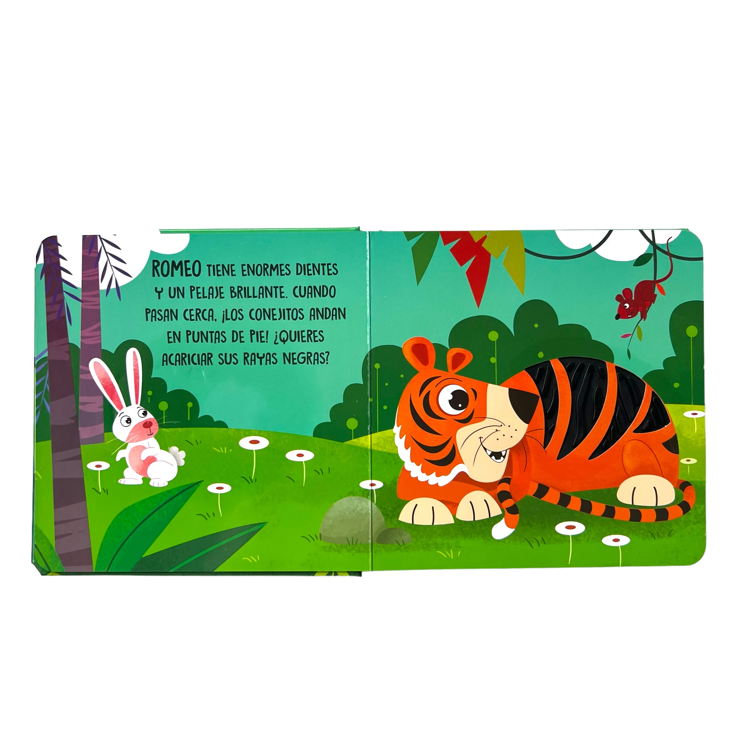 Toco y Descubro - Libros de Texturas