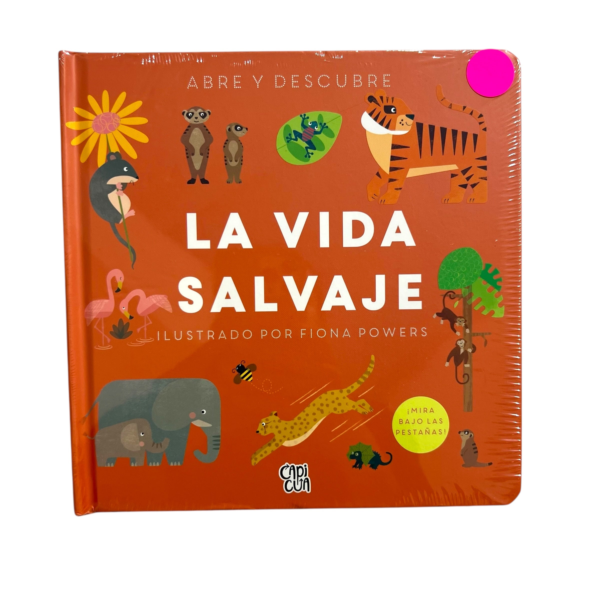 Cuento - Abre y descubre La vida salvaje
