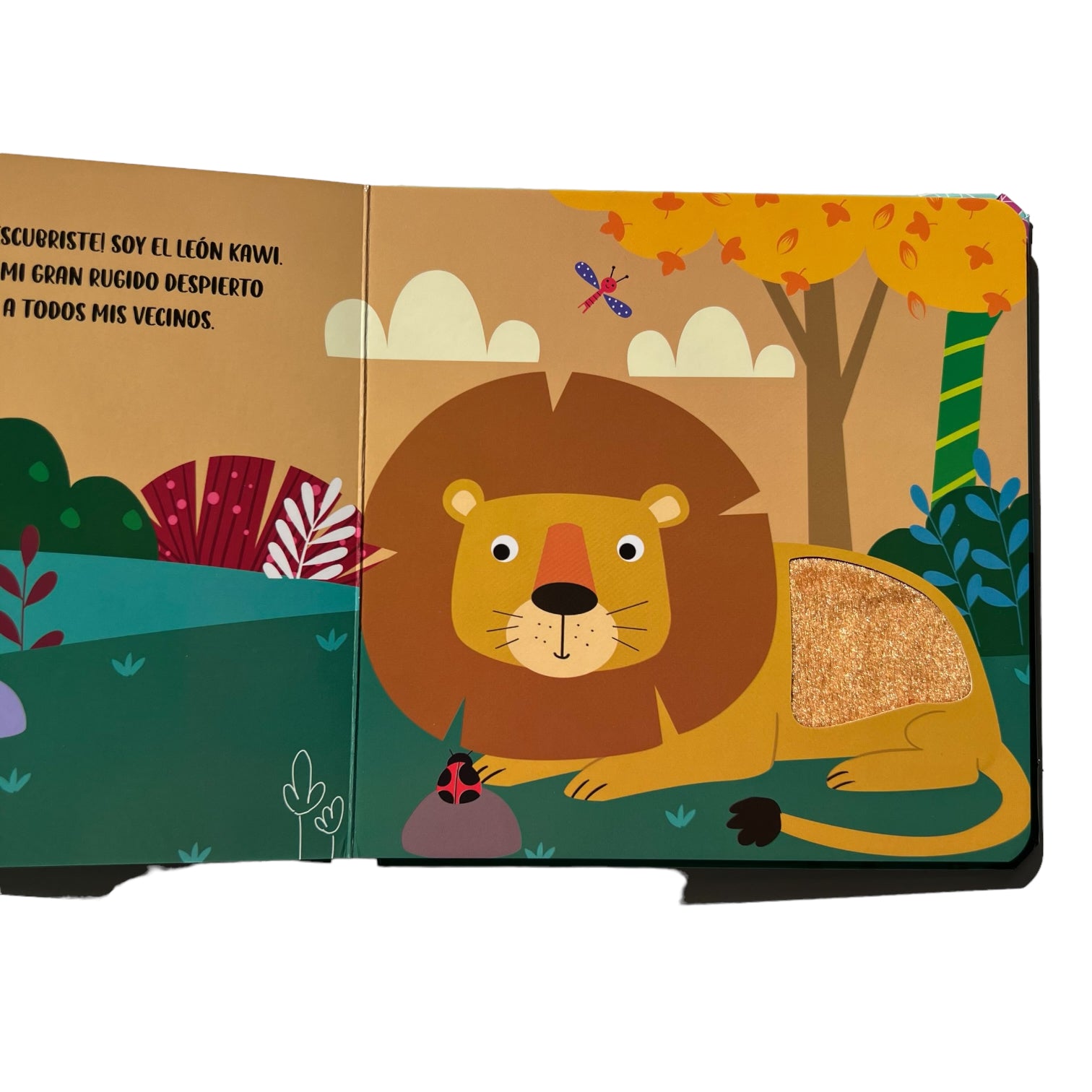 Encuentra Quien se Esconde - Libros de Texturas