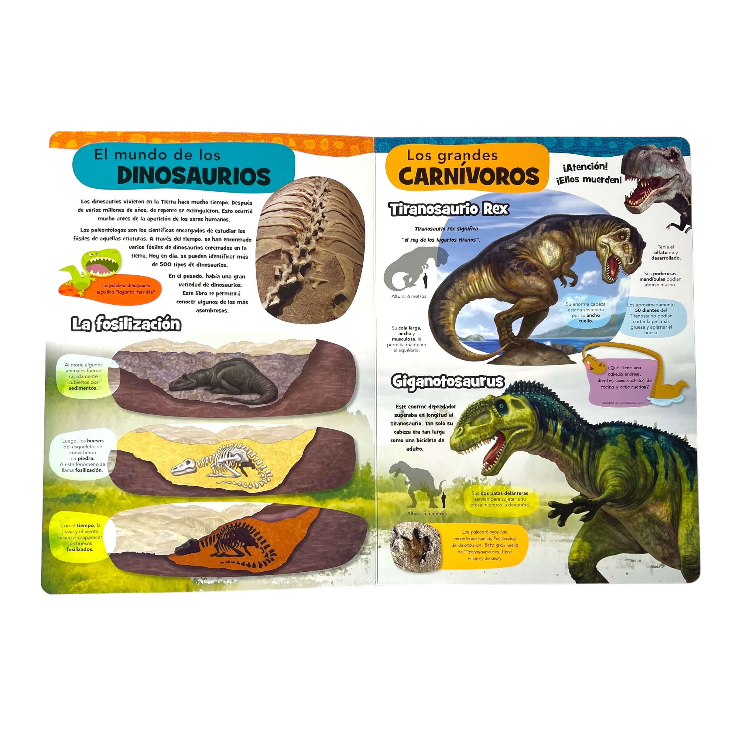 Cuento gigante dinosaurios fascinantes