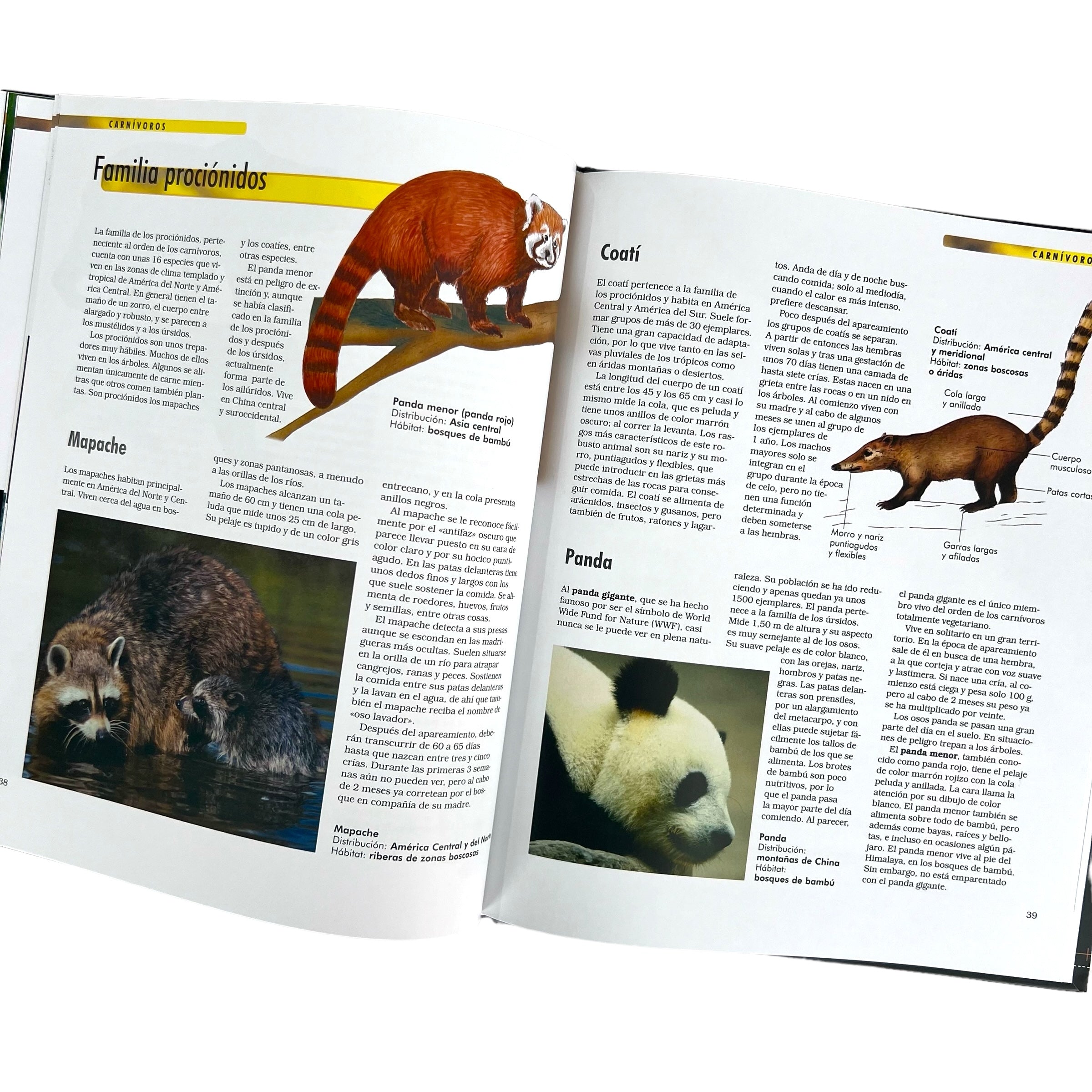 Libro Enciclopedia del conocimiento