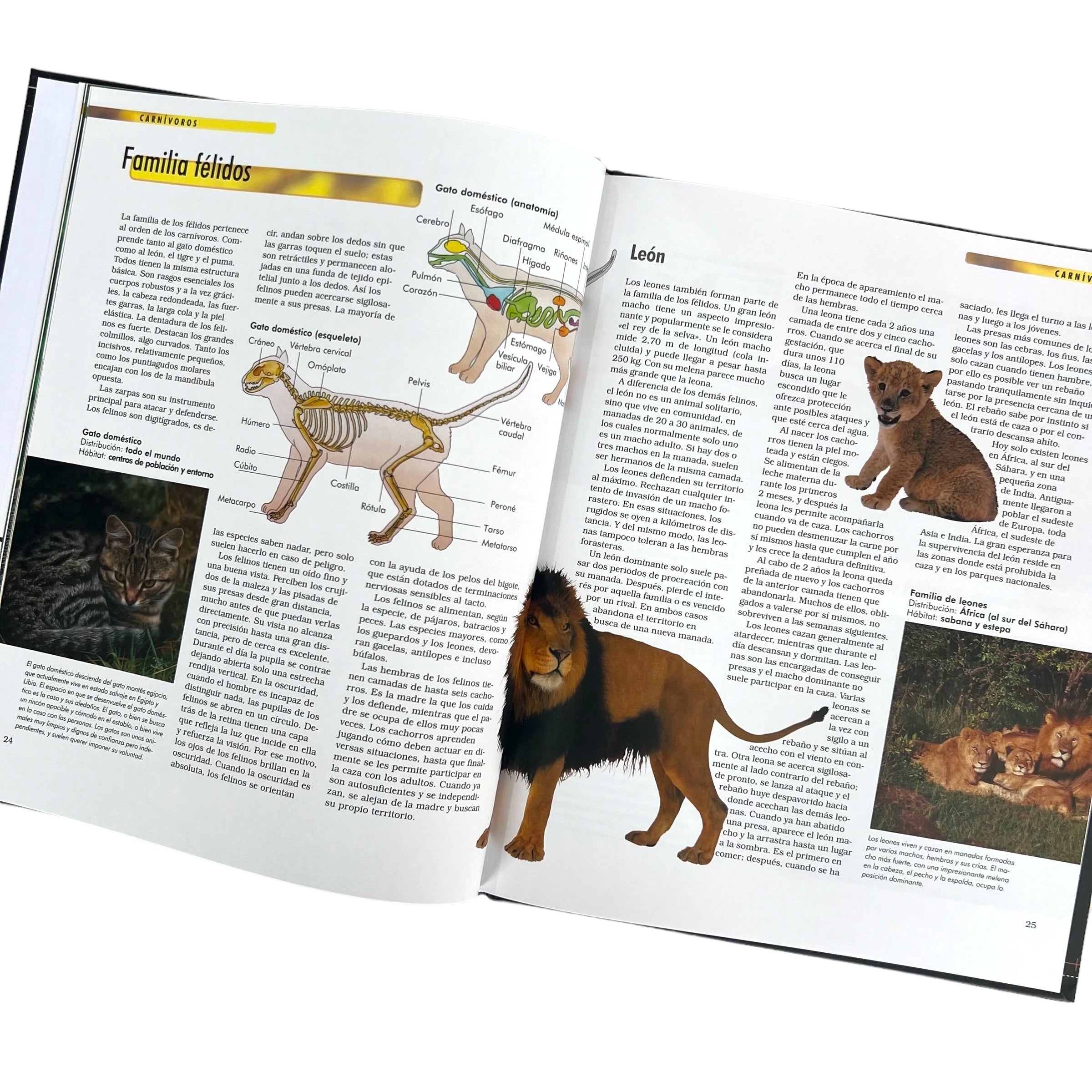 Libro Enciclopedia del conocimiento