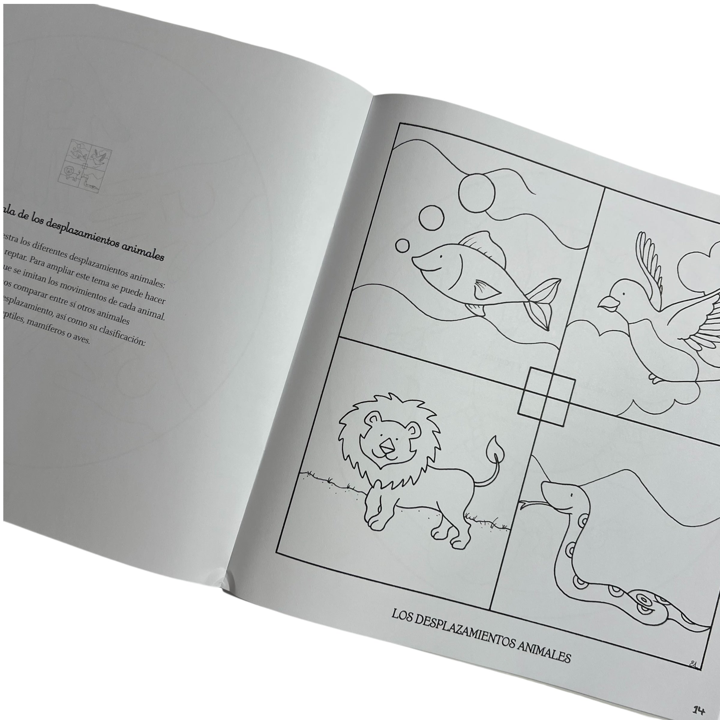 Cuaderno gigante de Mandalas