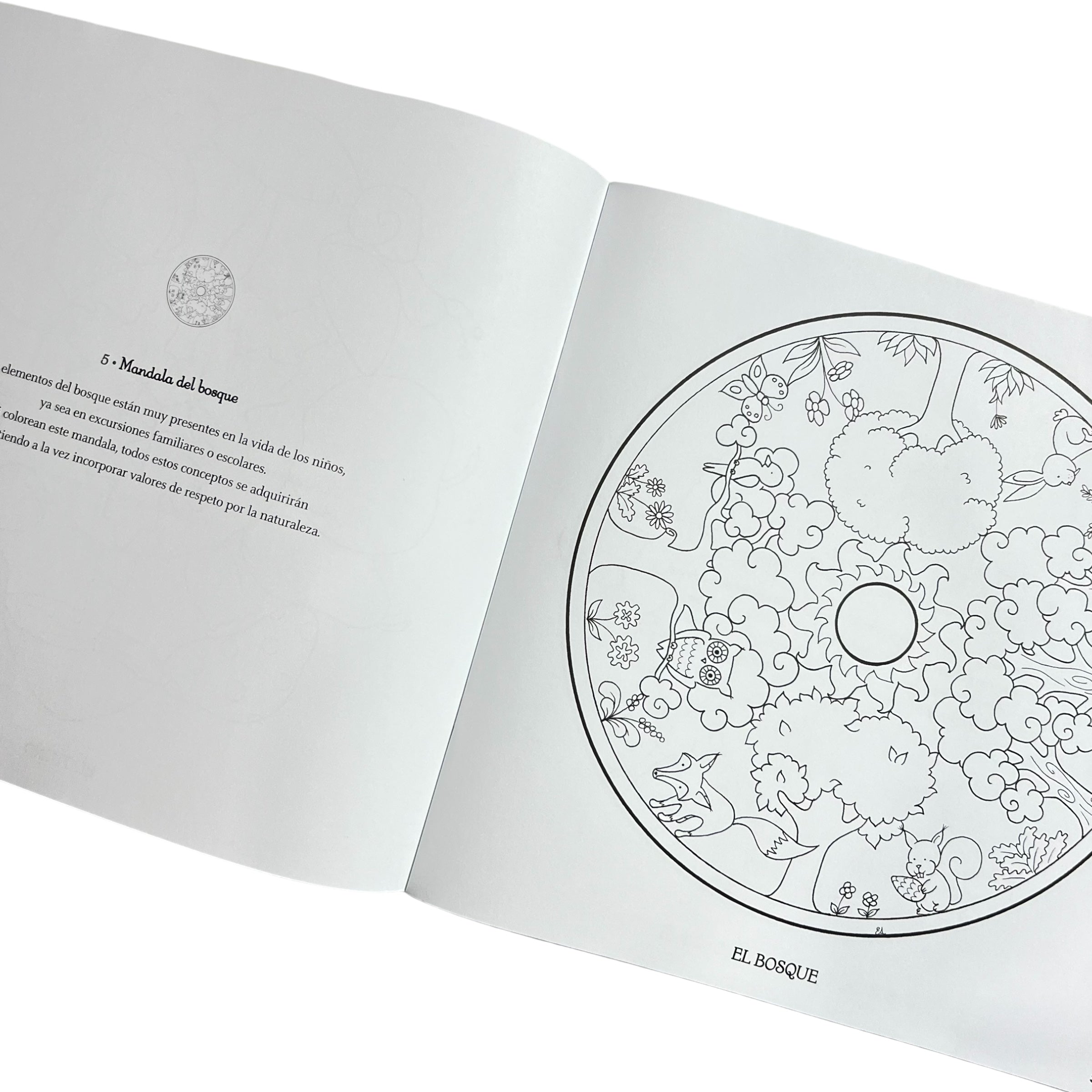 Cuaderno gigante de Mandalas