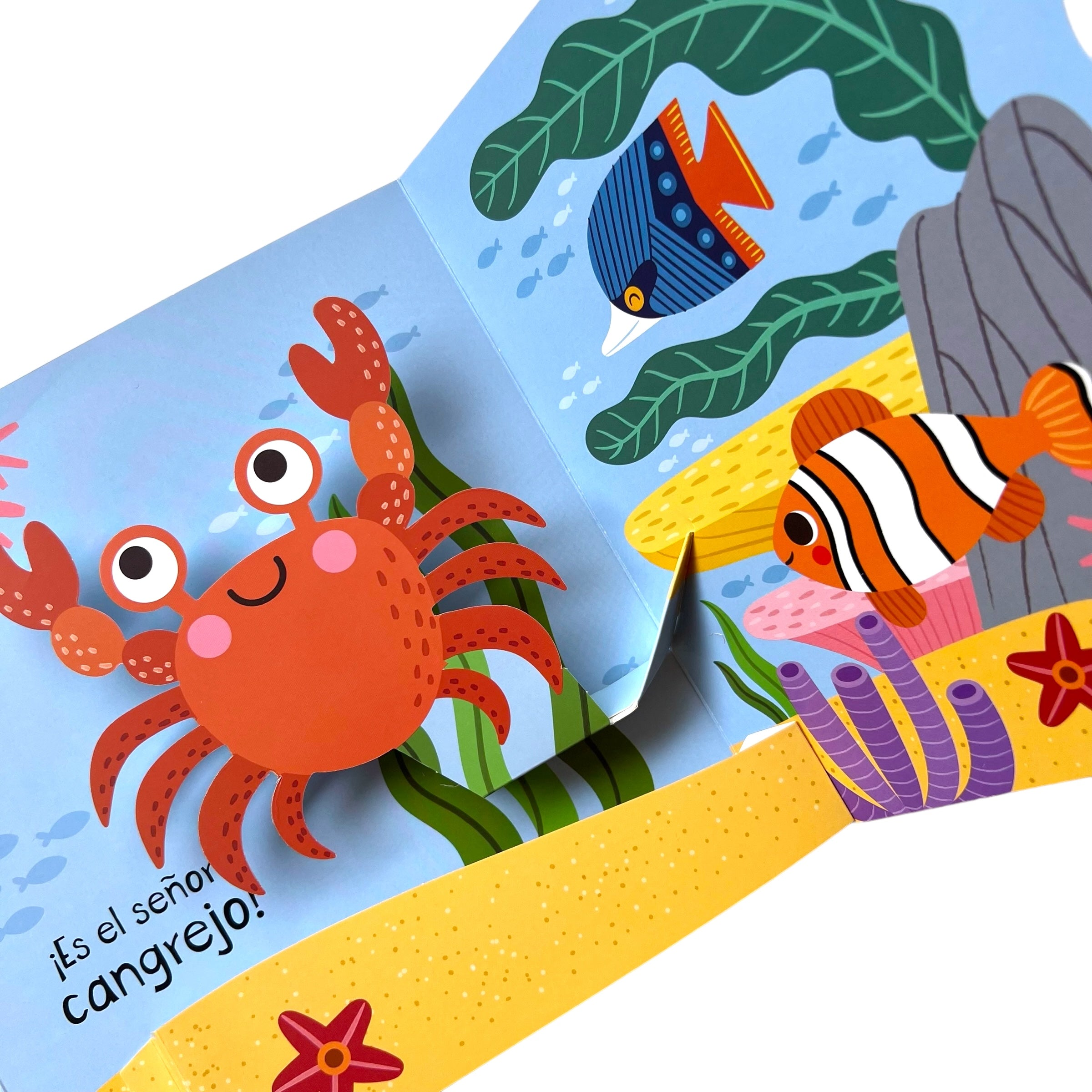 Libro Pop up ventanas el mar