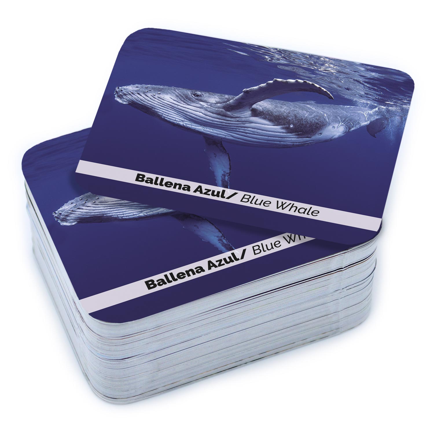 Animales marinos - Juego de memoria