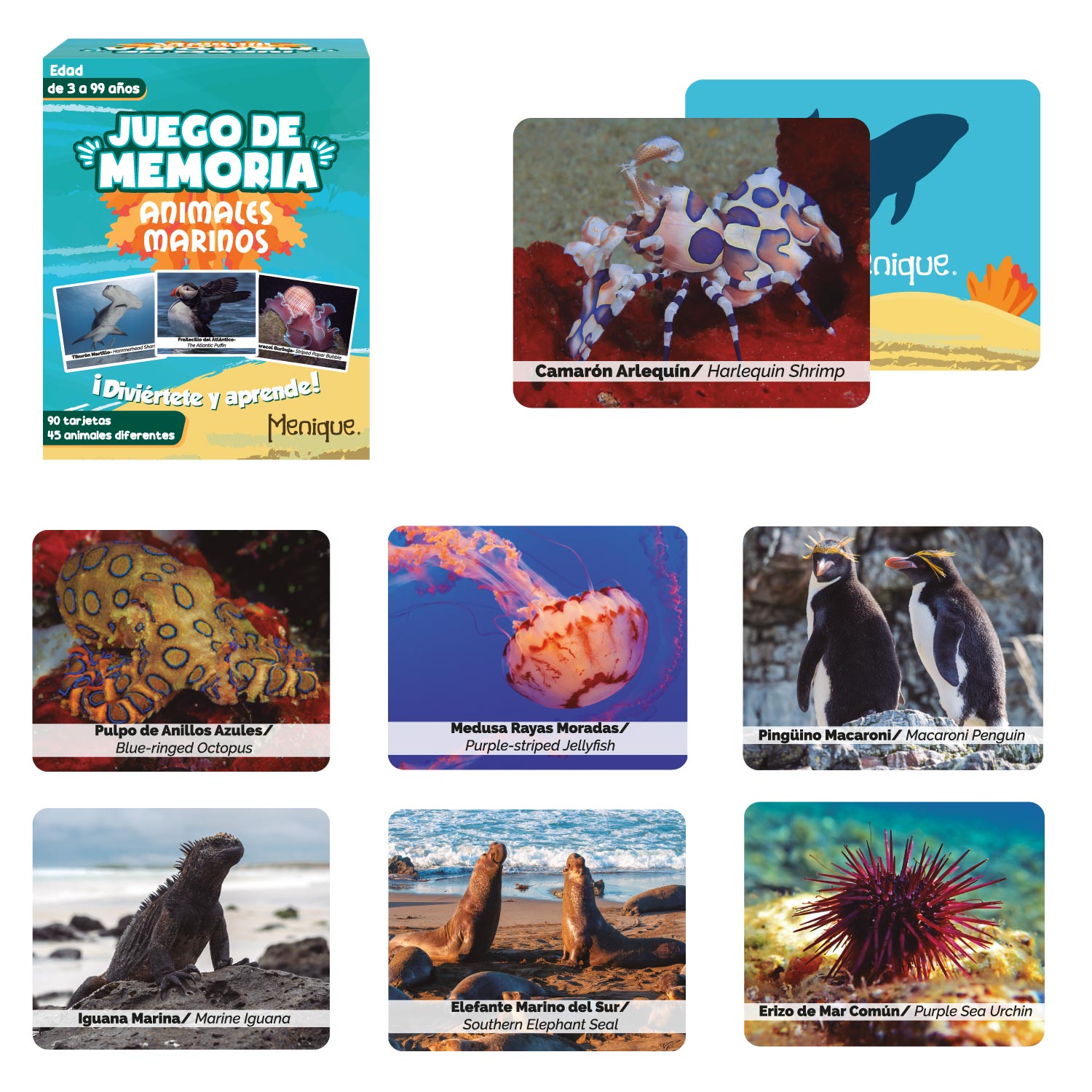 Animales marinos - Juego de memoria