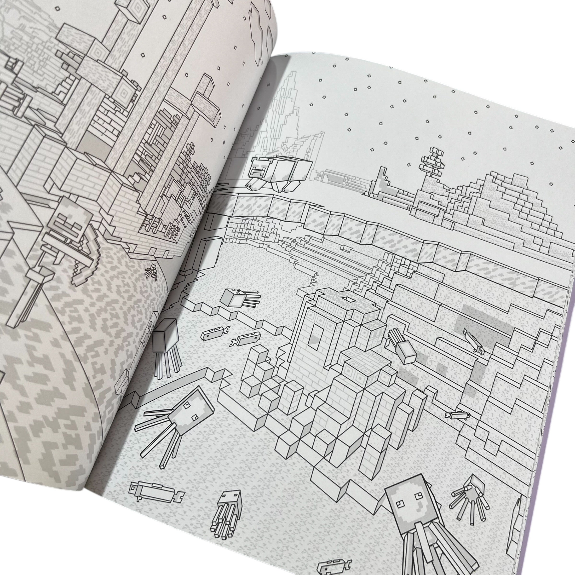 Libro para colorear Minecraft modo supervivencia