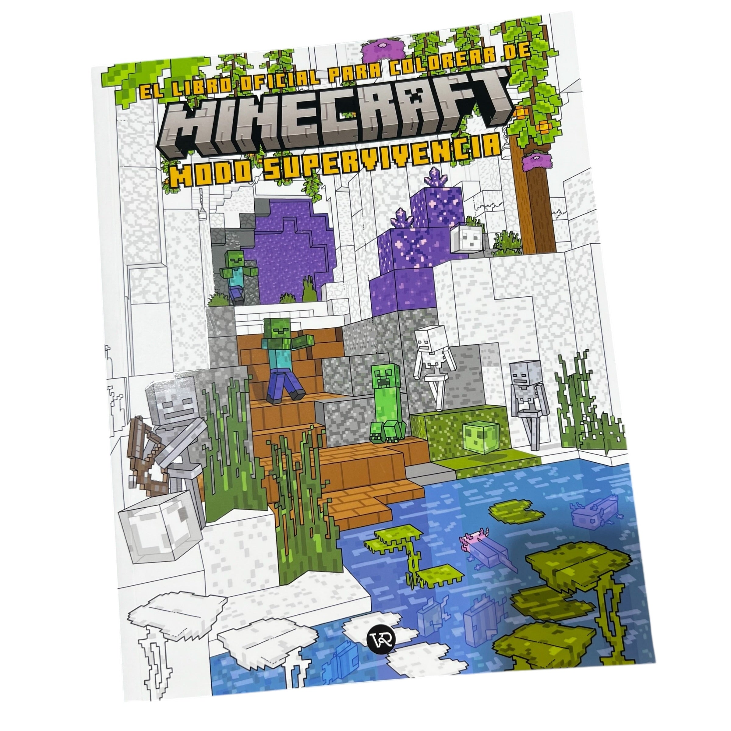 Libro para colorear Minecraft modo supervivencia