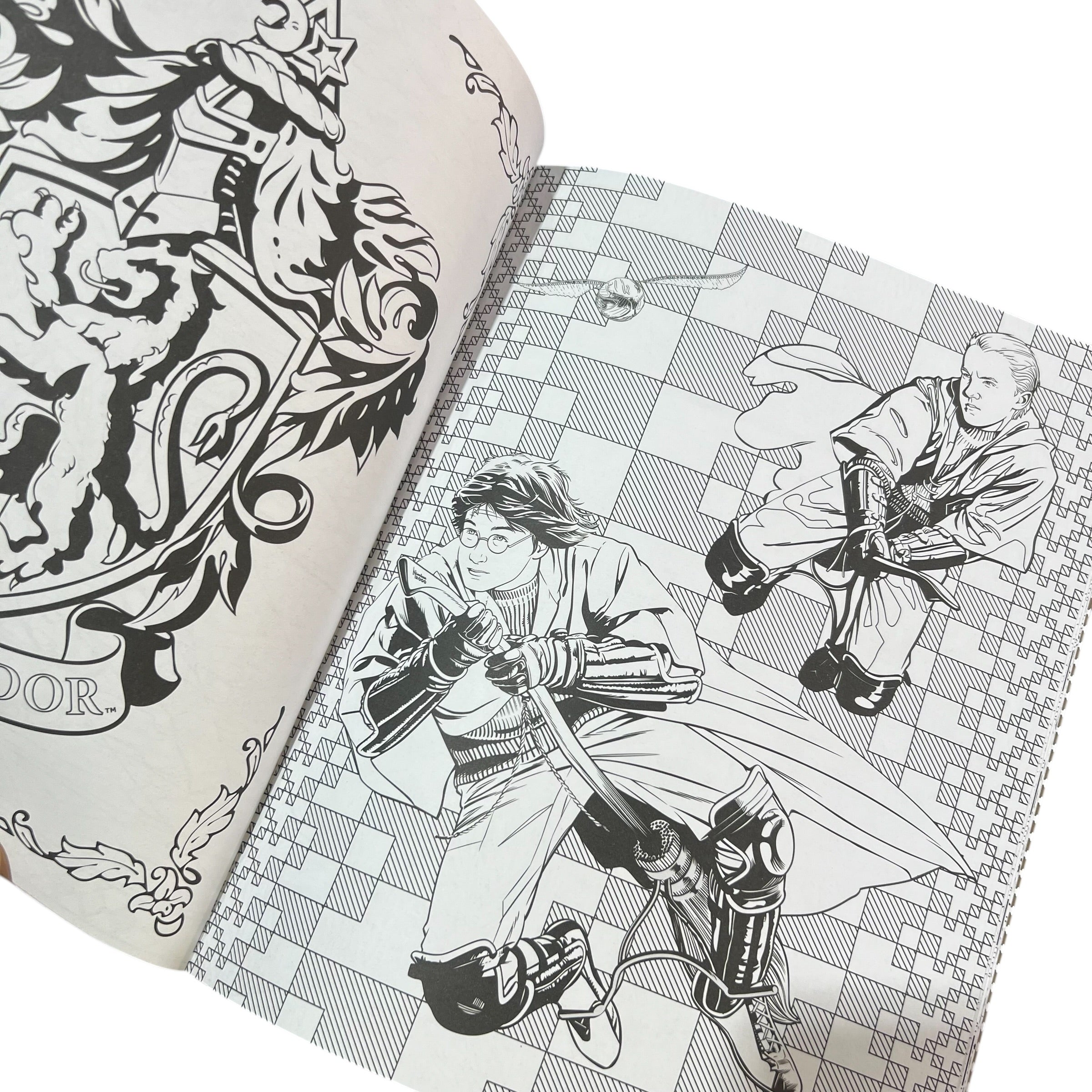 Libro para colorear Harry Potter y su mundo mágico