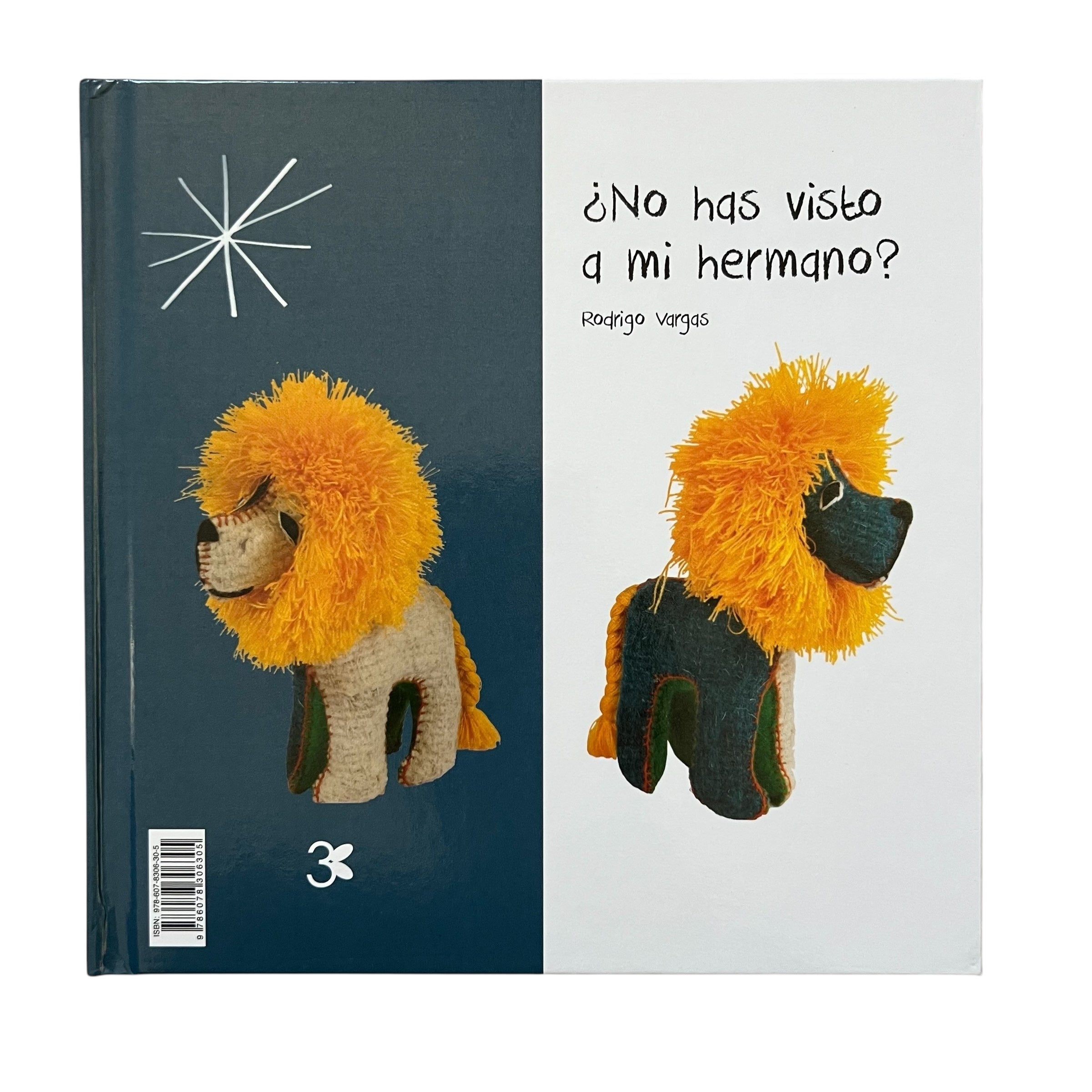 No has visto a mi hermano?