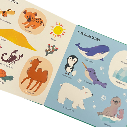 Mis 100 palabras para descubrir el mundo