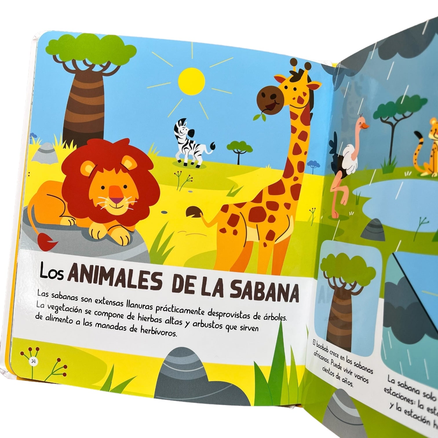 Cuento Mi pequepedia de los animales