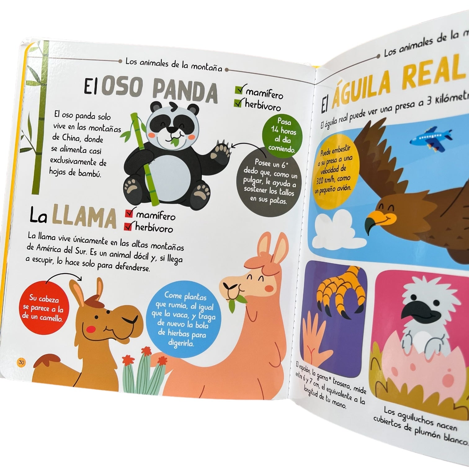 Cuento Mi pequepedia de los animales