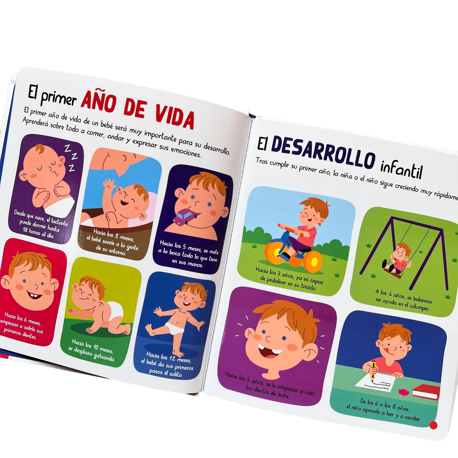 Cuento - Mi pequepedia del cuerpo humano