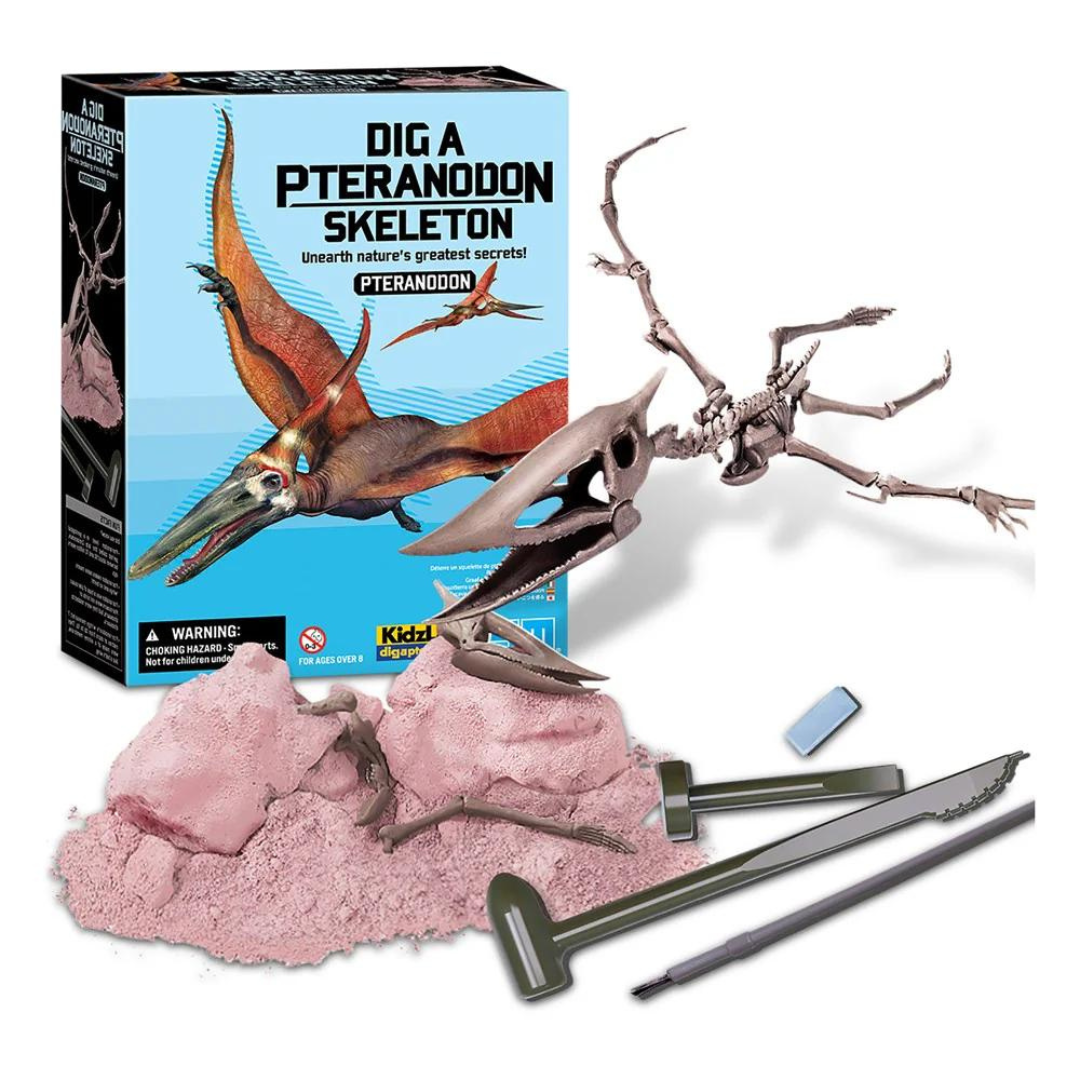 Dig a dinosaur Pteranodon - Terodactilo