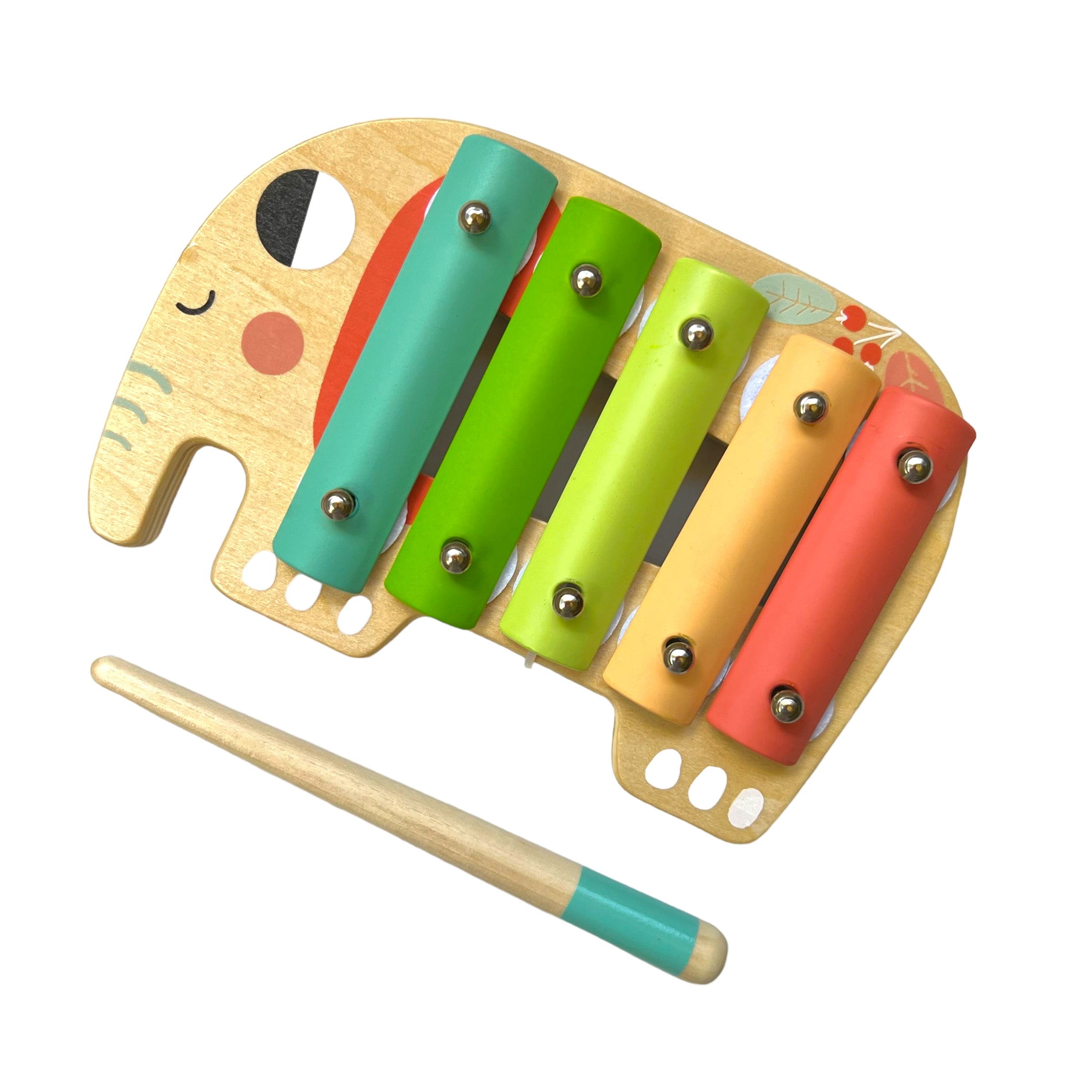 Set de Instrumentos Musicales -  Music Instrument Set - Tooky Toy