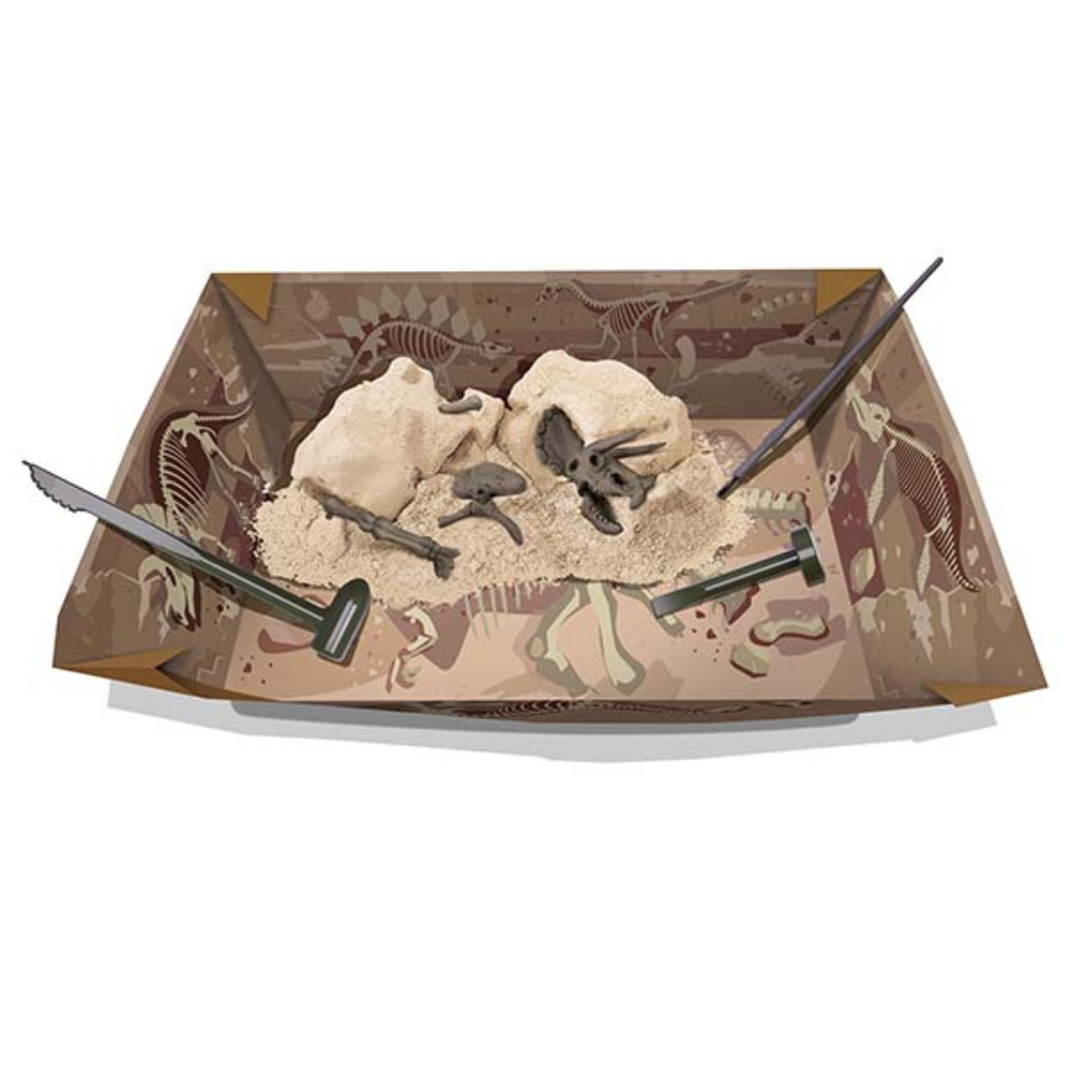 Fosil de Triceratops Dinosaurios  - Dig a Dinosaur Triceratops