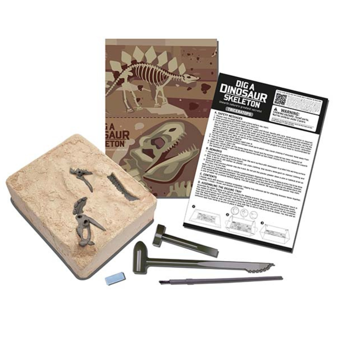 Fosil de Triceratops Dinosaurios  - Dig a Dinosaur Triceratops