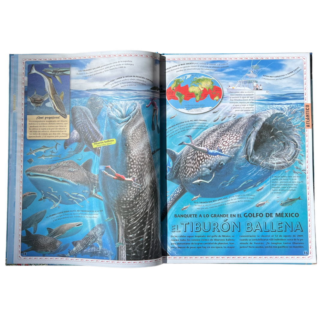 Libro Atlas de los Oceanos