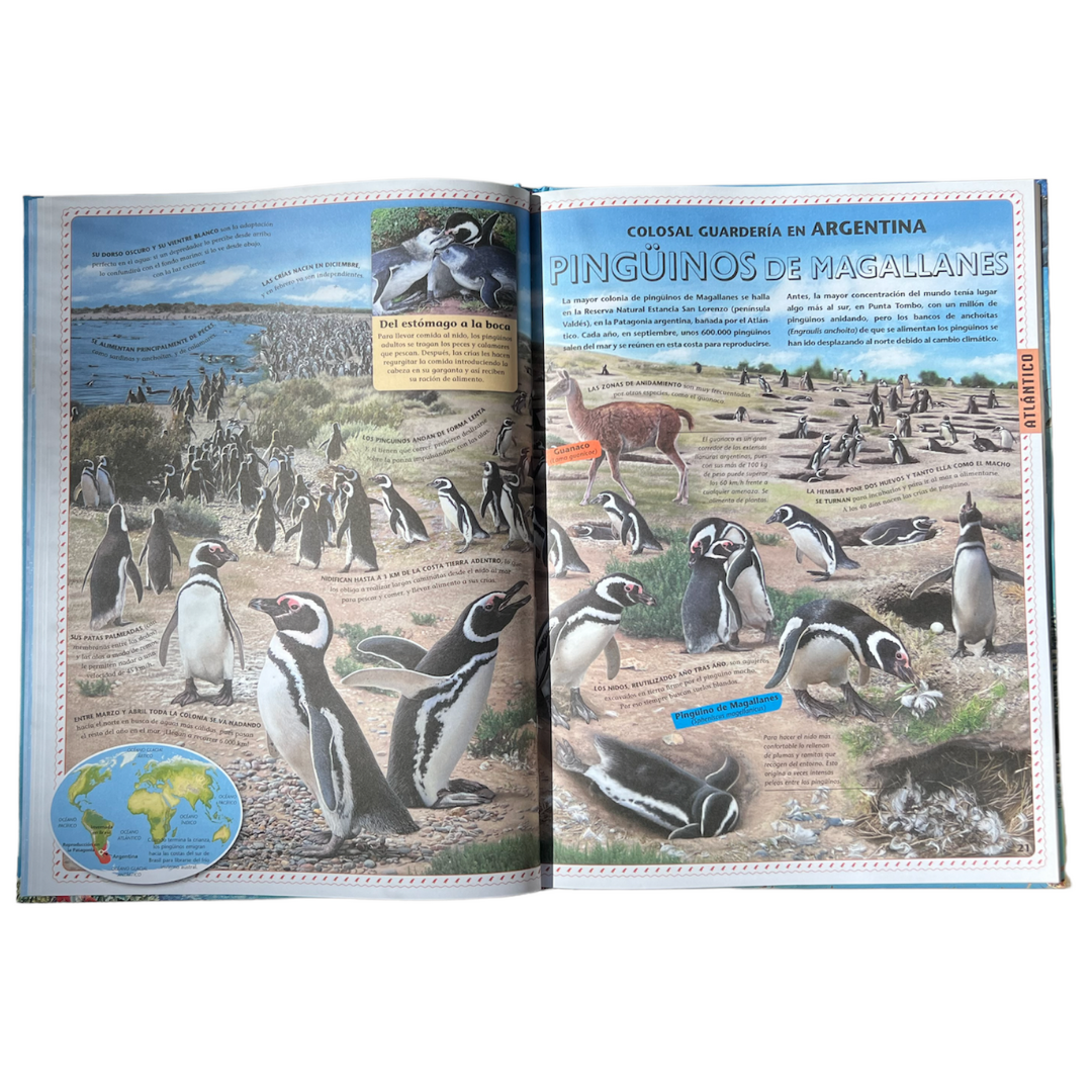 Libro Atlas de los Oceanos