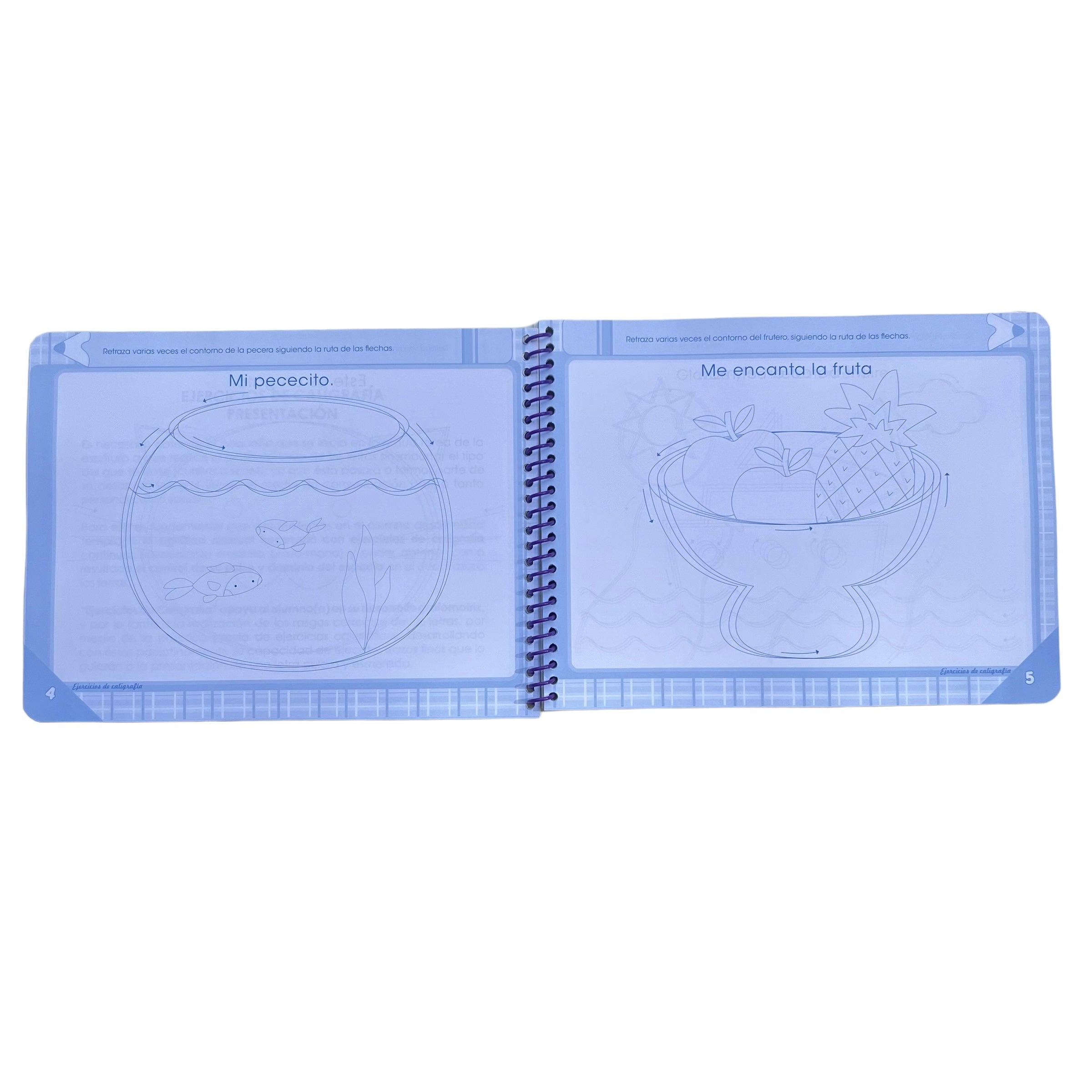 Libro Ejercicios de Caligrafía