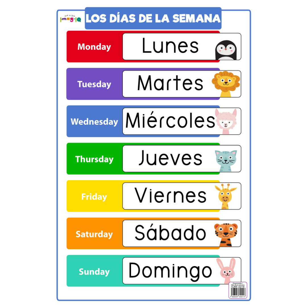 Organizador y Días de la Semana  POSTER