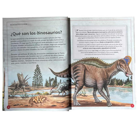 El Magnifico Libro de los Dinosaurios – IMAGIQ