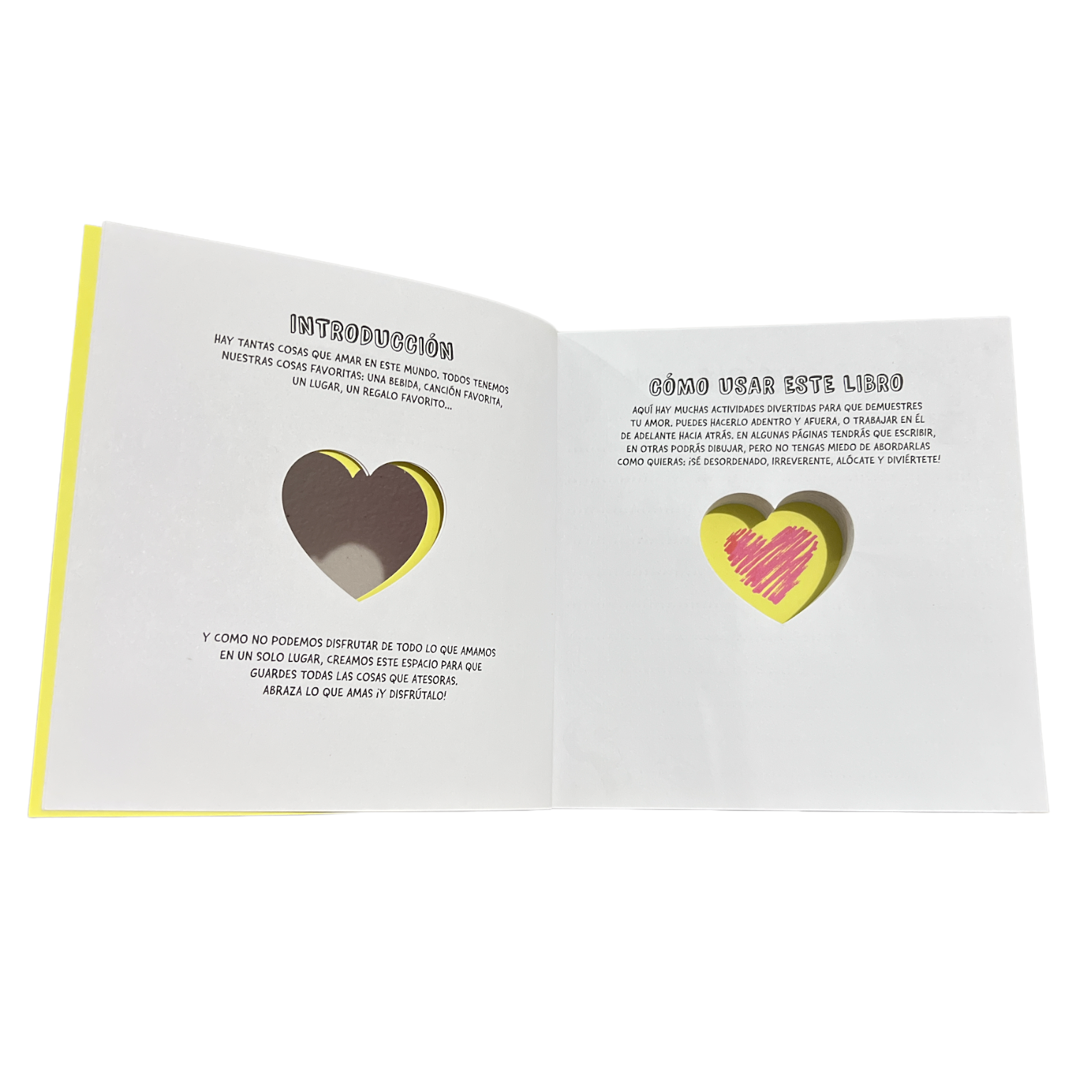 Libro Todas las Cosas que Amo Mucho